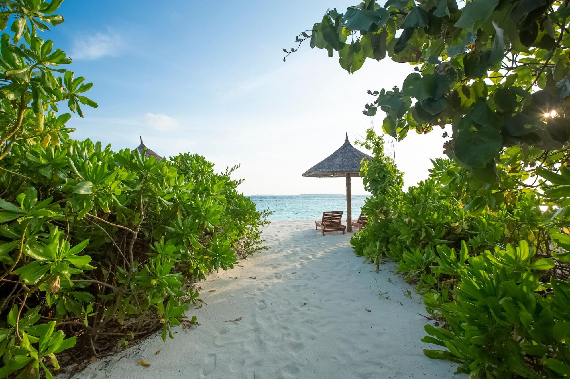 Reethi Faru, Bio Luxury Resort Meedhoo  المظهر الخارجي الصورة